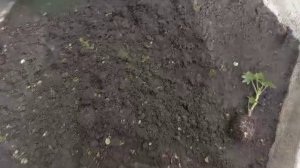 Остатки сладки? Или доброе дело, оно и людям приятно.