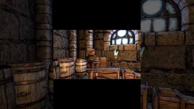 The elder scrolls 5 Skyrim Anniversary edition Проект Арнела - Арнел узнаёт смотреть онлайн