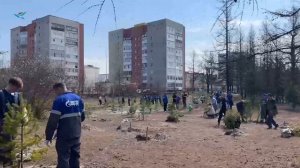 В Надыме прошла Всероссийская акция «Сад памяти»