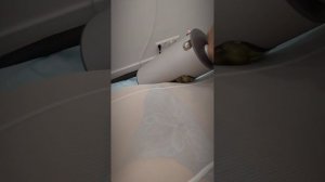 эндосфера - коррекция фигуры и профилактика целлюлита