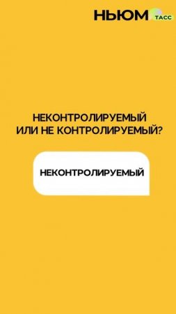 В День русского языка проверим, как хорошо вы знаете великий и могучий!