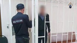 😱 Поджигателя из Большого Нагаткино заключили под стражу   Следователями продолжается расследование