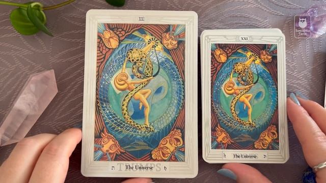 Сравниваем две колоды Таро Тота / Thoth Tarot Large vs Standard смотреть онлайн