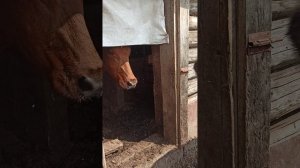первый выход на улицу