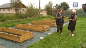Дачные советы: клумбы без сорняков