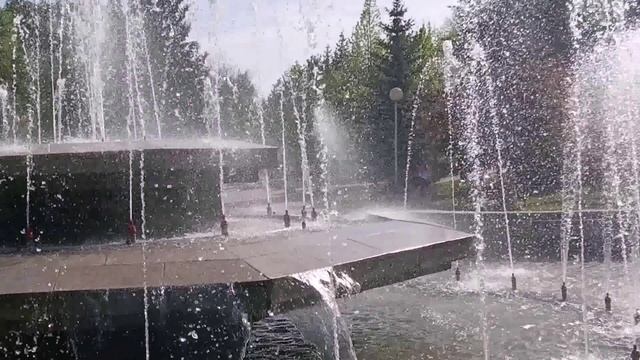 прогулкиSyringa flower🌸🌸🌸сирень🌼 🌼 🌼 ЦВЕТЫ,птицы фонтаны белки шмели колибри