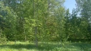 50:32:0040212:2271