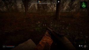 Баги Сталкер 2 Прошел стеклянную аномалию стало убыва?