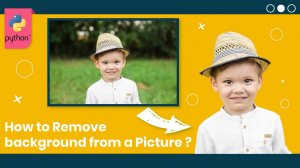 Python Remove Background from Image