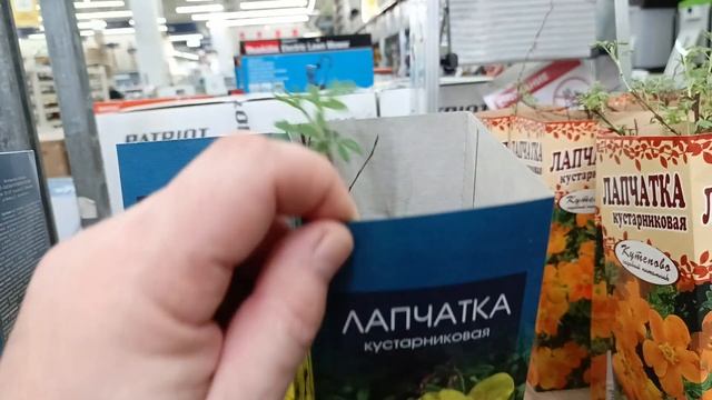 Большой выбор разных растений Лемано про 05.03.24 #город61 смотреть онлайн