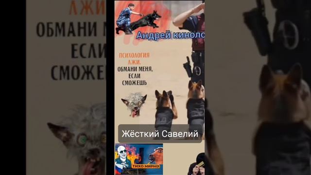 Разнос от Савелия!