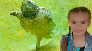 Ялтинский крокодиляриум