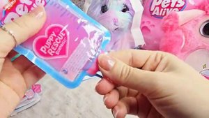 САМЫЕ МИЛЫЕ ДОМАШНИЕ ЖИВОТНЫЕ НА СВЕТЕ