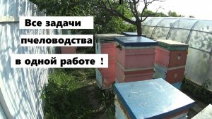 Перестановка корпусов - это не только замена матки.