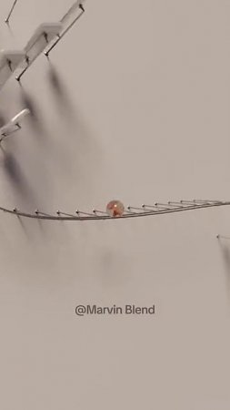 Which one sounds better #satisfying #music (2)