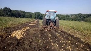 картофиле= копалка из культиваторных стоек