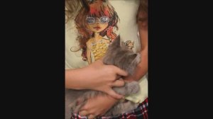 "Душа и грех" притча  2017 г.