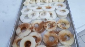 lyophilization сублимация фруктов.Фильм второй