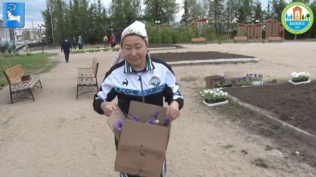 Посадка цветов на площадях и скверах города Вилюйск смотреть онлайн