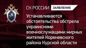 Устанавливаются обстоятельства обстрела ВСУ мирных жителей Кореневского района Курской области