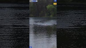 05.06.2025 плавание на Светлом (4К) #юныйпрадедбодрыйдед #авсарх