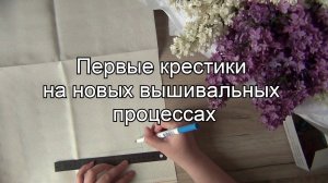 Новые старты! Первые крестики и  впечатления | Dimensions и Luca-s | Вышивка крестом