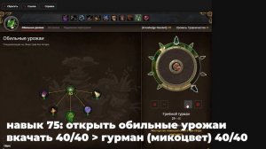 ГАЙД ТРАВНИЧЕСТВО И АЛХИМИЯ THE WAR WITHIN