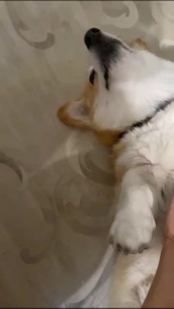 Понедельник летом, сон так сладок