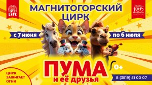"Пума и её друзья" в Магнитогорском цирке