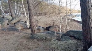 Озеро Боровое. 09.04.2025. #бурабай #казахстан #курорт #прог?