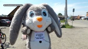 День с Толком 06 06 2025+погода