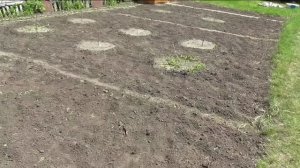 Как удаляю сорняки на огороде