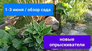 Обзор сада с 1 по 3 июня 
Новые опрыскиватели