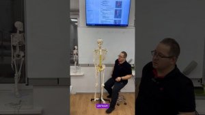 Для массажиста знание анатомии является основополагающим аспектом профессиональной деятельности.