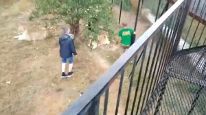 Олег Зубков воюет со львом Архив