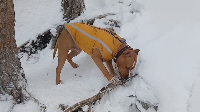 Манская петля зимой смотреть онлайн