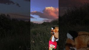 lv_0_20250606151714.mp4