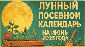 🌕 Секреты Лунного Посева! ТОП Плодородных Дней июня 2025 — Урожай ГАРАНТИРОВАН!