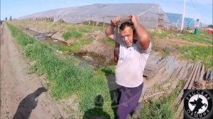 Русская Община совместно с силовиками Верх-Тулинского отдела №2 провела рейд по нелегалам.