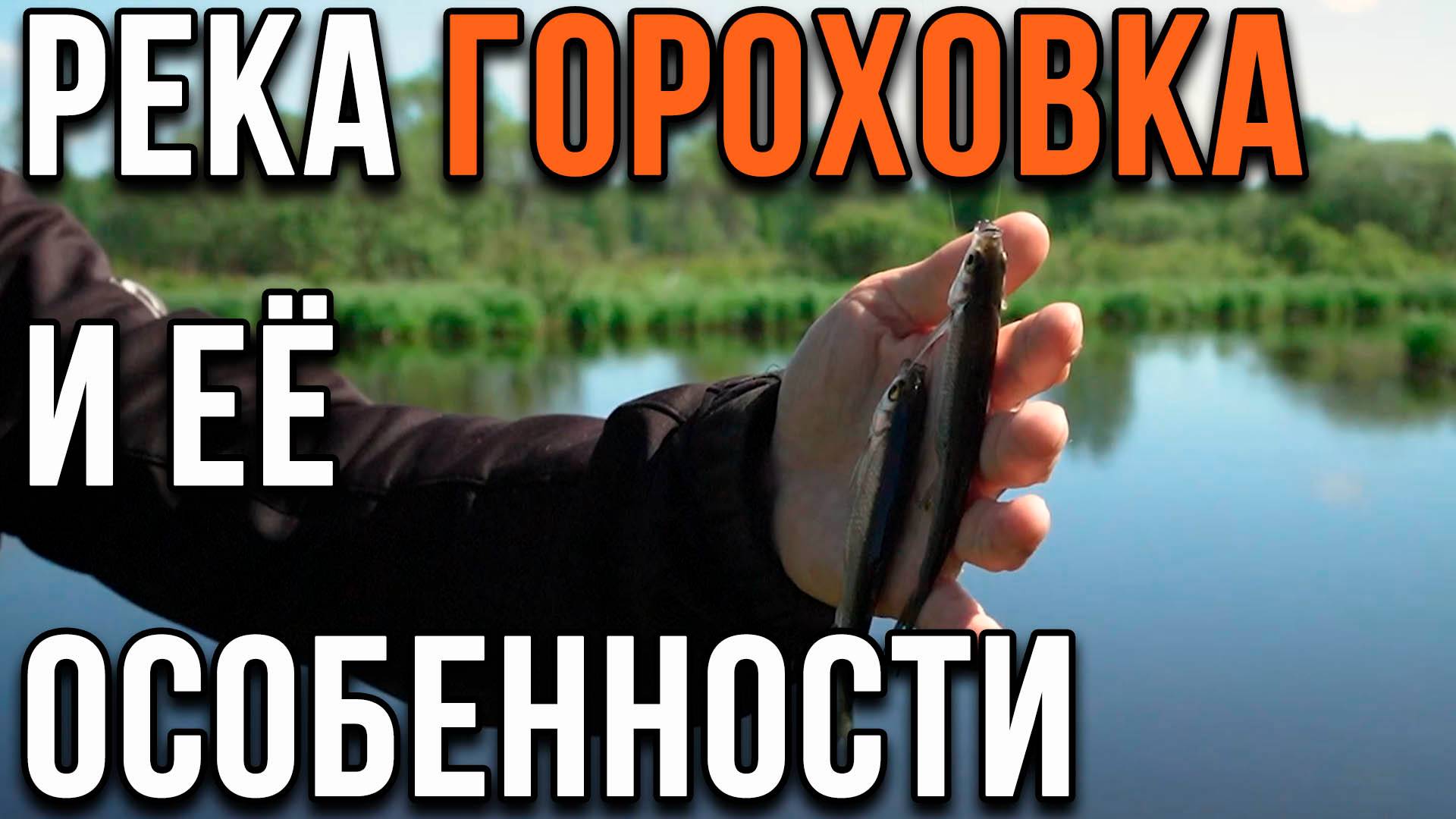 Река Гороховка и ее особенности.