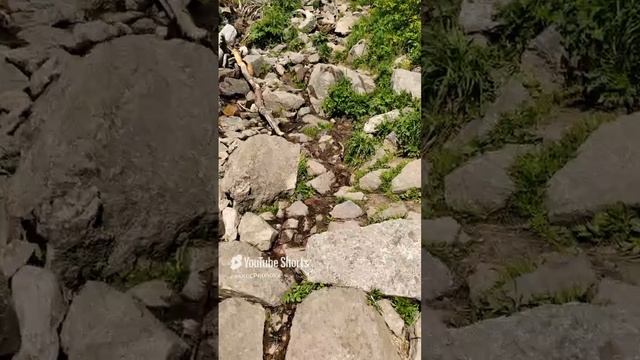 СИЛА БОЖИЯ ИСЦЕЛЯЕТ #голоспророка