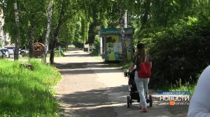 Жители проголосовали – аллея преобразится