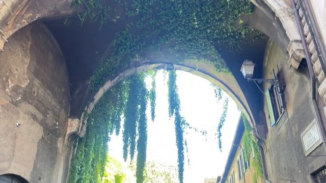 Влог из Италии 1. Рим. Бот сад, Колизей, Ватикан. Дарья Б? смотреть онлайн