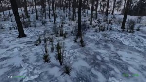 Ya snova s vami ЗАСТАВИЛИ ИГРАТЬ НА НЕУДЕРЖИМЫХ (2021) - DayZ
