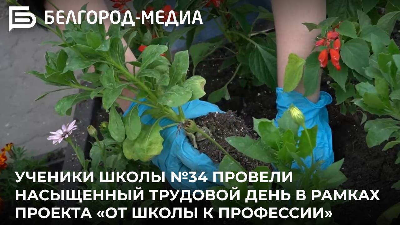 Ученики школы №34 провели насыщенный трудовой день в рамках проекта «От школы к профессии»