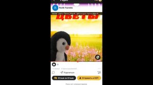 Песня цветы Певец:Marsik_MM названия: Цветы