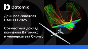 День пользователя CADFLO 2025 | Совместный доклад компании Датомикс и университета Сириус