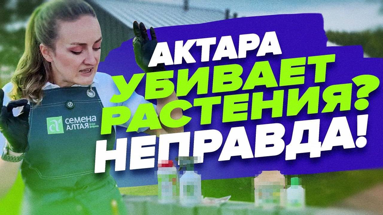 ПРО АКТАРУ