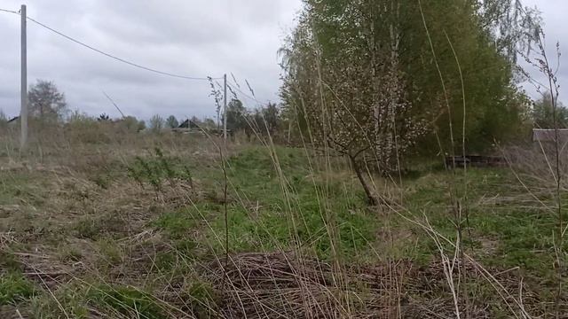 высоково аукцион