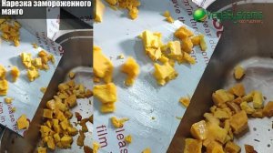 Машина для нарезки кубиками Vega Meat S Dicer 500